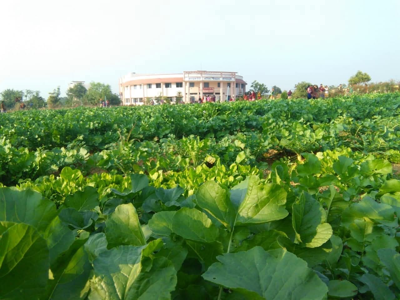 School Campus View
